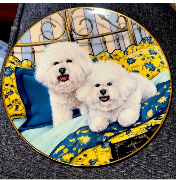 Cuddle Up By Michele Amatrula Titled Bichon Frise Collectable Plates