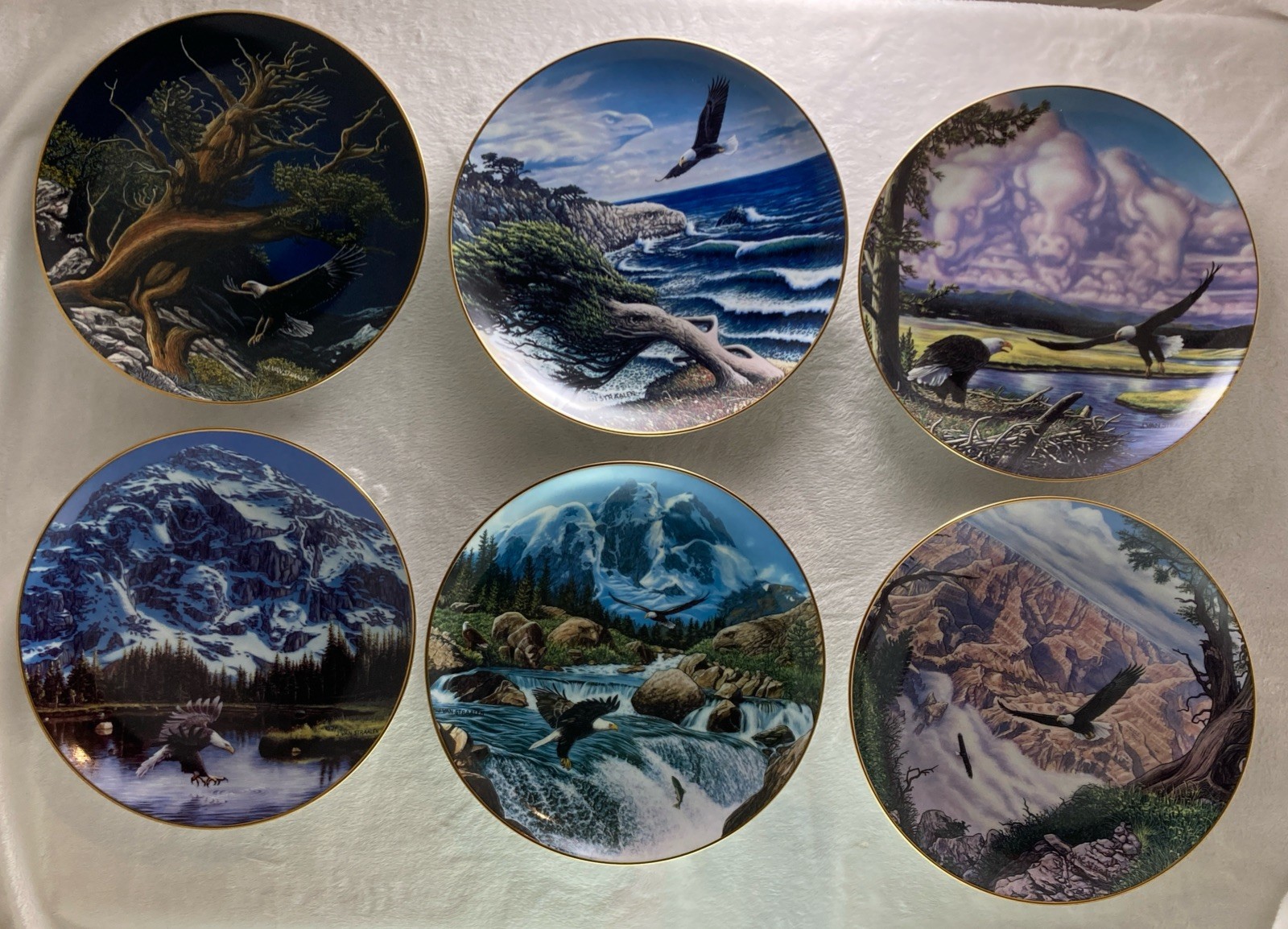 New ListingSpecial Order - 6 Plates Spirits of the Wild Camo Camouflage Eagle
