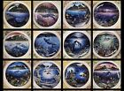 Danbury Mint "Underwater Paradise" Collectible Sealife  Plates 12 Plus 1 Sealed