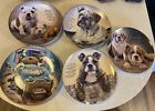 Danbury Mint Cherished Bulldogs Lot Of 5 Plates