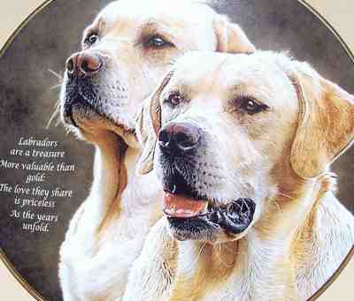 Love They Share Cherished Labrador Retrievers Plate Danbury Mint Golden Labrador