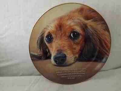 Danbury Mint Cherished Dachshunds SOMEONE TO COMFORT Collector Plate