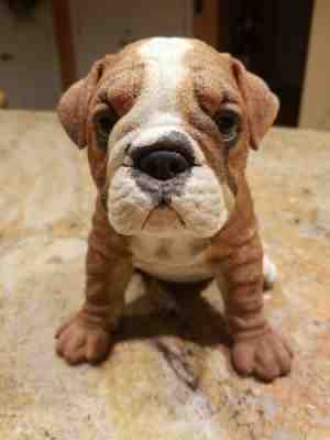 Danbury Mint Li'l Bulldog Pup Statue Cold-Cast Porcelain Figurine Lil Bulldog