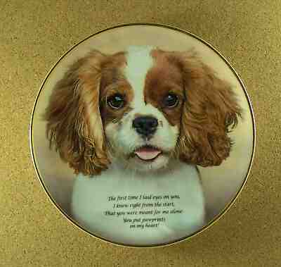  PAWPRINTS ON MY HEART Plate Poetry of the Cavalier King Charles Spaniel Danbury
