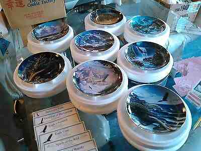 Danbury Mint "Spirits of the Wild" Plates all 8 John Van Straalen