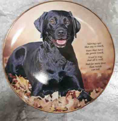 Adoring Eyes Cherished Labrador Retrievers Plate Danbury Mint Golden Retrievers