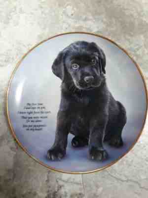 Cherished Labrador Retrievers PAWPRINTS ON MY HEART Plate black Lab Dog puppy