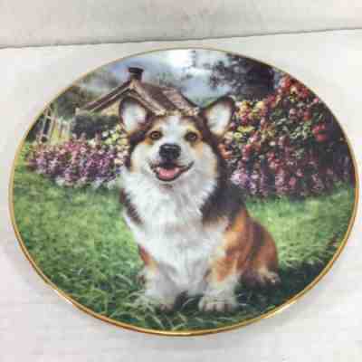 Danbury Mint 8” Collector Plate Corgi Eager to Play" A7404 by RICK GARLAND!