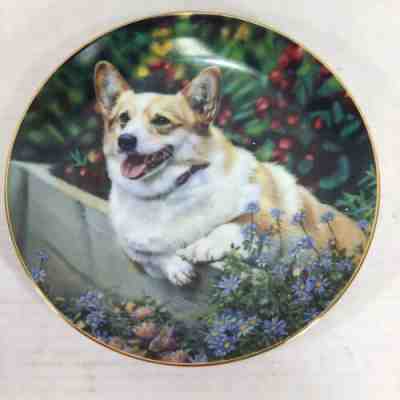 Danbury Mint 8” Collector Plate Corgi Hi Neighbor" A7404 by RICK GARLAND!