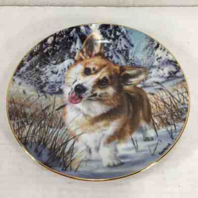 Danbury Mint 8” Collector Plate Corgi Snow Buddy" A7404 by RICK GARLAND!