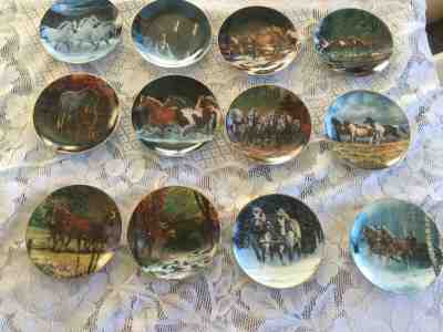 Danbury Mint Horses For All Seasons Calendar Plate Box Set Chris Cummings B3388