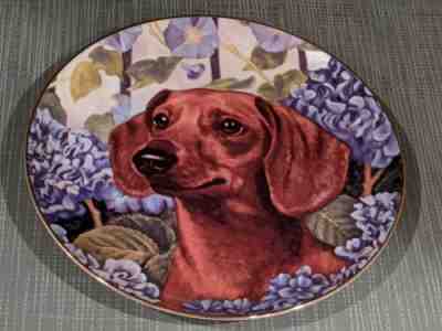 Danbury Mint Dachshund Dog  Collector Plate Bright Eyes