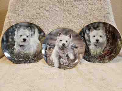 The Danbury Mint west highland terriers limited edition 3 plate collection set
