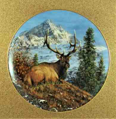 MOUNTAIN REPOSE Plate High Country Pride Bull Elk Bruce Miller Danbury Mint Pine