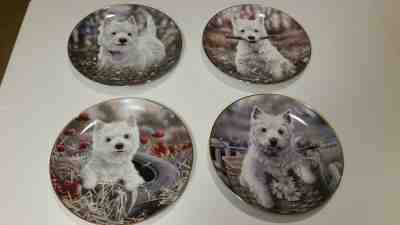 Lot Of 4 The Danbury Mint West Highland Terriers Collector Plates Ride Play Out 