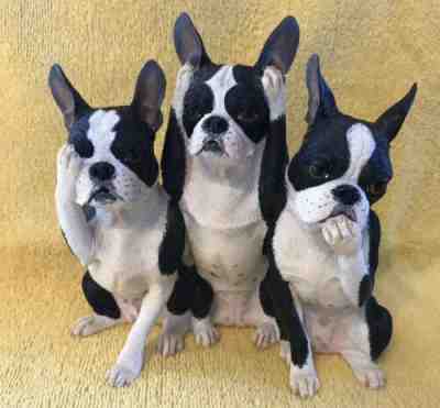 "BARK NO EVIL" Danbury Mint BOSTON TERRIER 6" FIGURINE - Cold-cast Porcelain