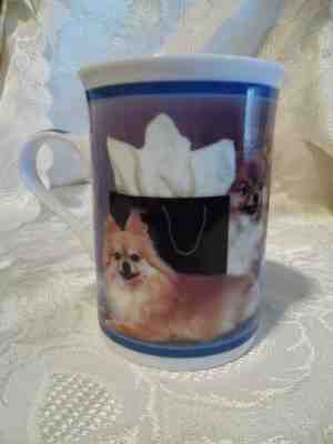 7 Purely Pomeranians Coffee Mugs~"Shopping Surprise Danbury MInt Collection~