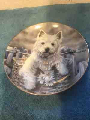 "Hitching A Ride" West Highland Terriers By Paul Doyle 8" Danbury Mint Plate