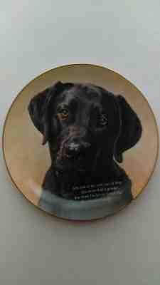 Danbury Mint Plate,"Eyes Of Love",Cherished Labrador Retrievers