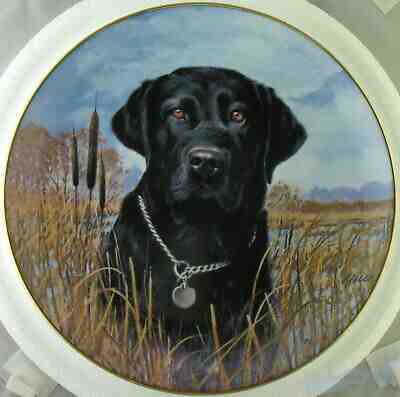 Labrador Retrievers On Alert Jim Killen Wild Wings Danbury Mint Plate