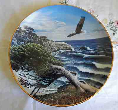 EAGLE COVE PLATE SPIRITS OF THE WILD   DANBURY MINT COA