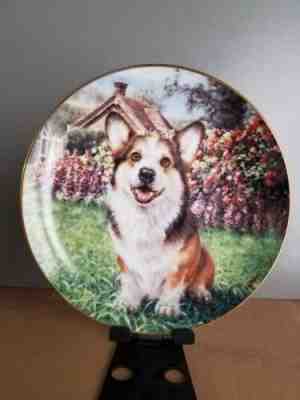 Danbury Mint 8” Collector Plate Corgi Eager to Play"  by RICK GARLAND!