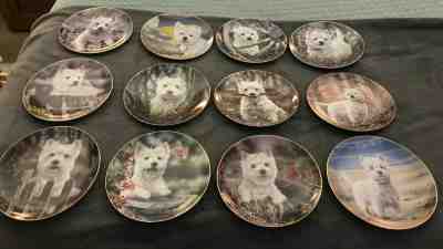 Danbury Mint West Highland Terriers Collector Plates - Complete Set of 12