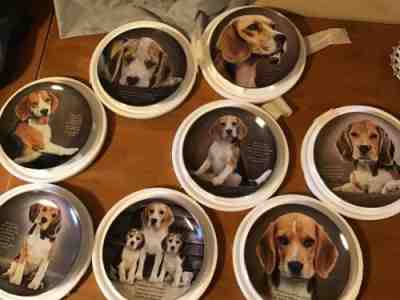 CHERISHED BEAGLES DANBURY MINT COLLECTORS PLATES SET OF 8