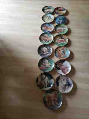 Golden Retrievers GOLDEN DAY! Plates Patricia Bourque Danbury Mint Pansies Lot
