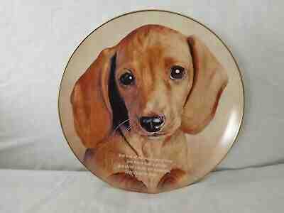Danbury Mint Cherished Dachshunds EYES TO LOVE Collector Plate