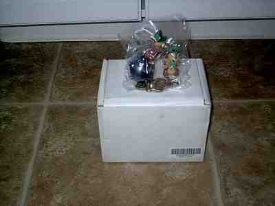 DISNEY DANBURY MINT CHIP & DALE MARCH PERPETUAL CALENDAR FIGURINE NEW