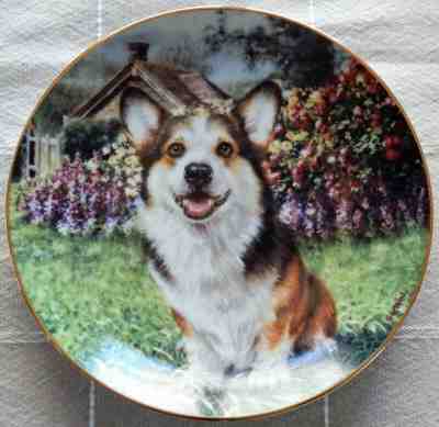 Eager to Play by Rick Garland Pembroke Welsh Corgi Danbury Mint Collector Plate