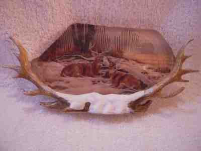 Bradbury Mint Plate - Whitetailed deer