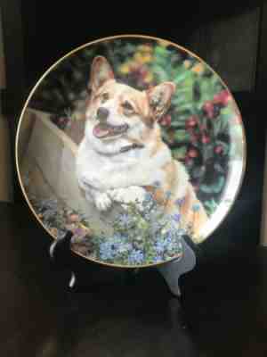 THE DANBURY MINT Pembroke Welsh Corgis “Hi Neighbor! " By Rick Garland