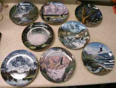 Danbury Mint  - John Van Straalen Collectible Plates Lot of 8