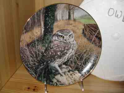 "WATCHFUL EYES" The Majesty of Owls - By Trevor Boyer Plate # AA5645  1992