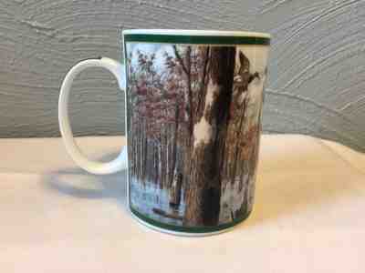 Danbury Mint Wild Wings Ducks of North America Collector Coffee Mugs Ceramic