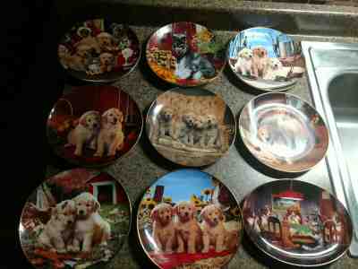 Lot of 9 Vintage Dog Plates Schnauzer Danbury Mint Franklin Golden Retriever 