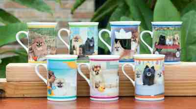 Danbury Mint Lot of Seven (7) Purely Pomeranians Collection Mugs