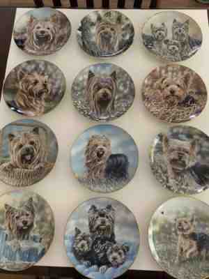 Danbury Mint Limited Edition Collector Plates Yorkshire Terrier Yorkie Set Of 13