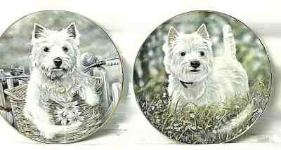 Danbury Mint Lot of Two  West Highland Terrier Plates by Paul Doyle Westie