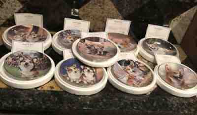 Set 10 Pembroke Welsh Corgis Plate Danbury Mint Limited Edition Collectible Lot
