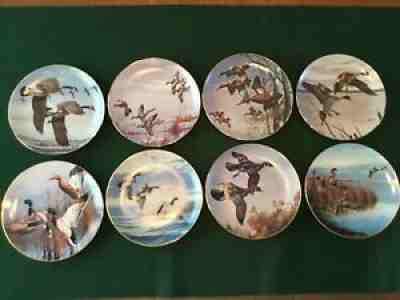 Complete Set of Danbury Mint Plates: Ducks Taking Flight by David Maass