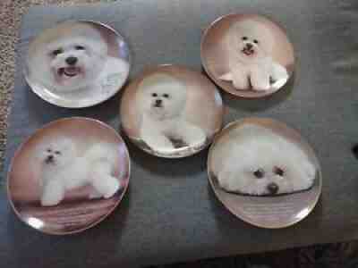 Set Of 5 Limited Edition Cherished Bichons Plates. By the Danbury mint