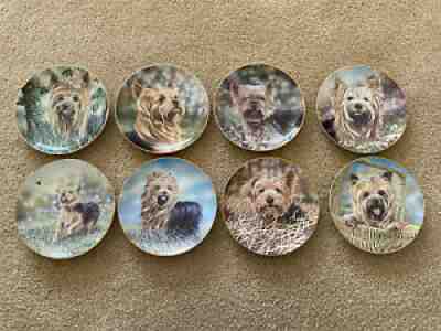 Yorkie Collector Plates Danbury Mint, Set of 8 in collection
