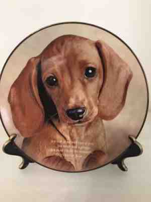 Cherished Dachshunds EYES OF LOVE Collector Plate Danbury Mint Dog Puppies