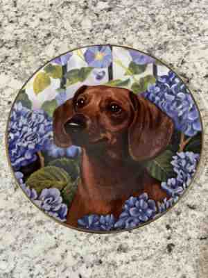 Limited Edition from the Dachshunds Collection - Bright Eyes by Christopher Nick