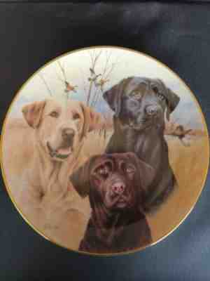 "Three Labradors" Collectors Plate Jim Killen Black Yellow and Chocolate # E3285