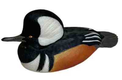 Hooded Merganser Danbury Mint George Kruth North American Ducks Decoy Collection