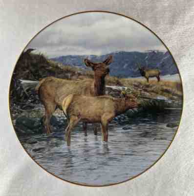 SUDDEN ALERT Plate High Country Pride Cows & Bull Elk Bruce Miller Danbury Mint